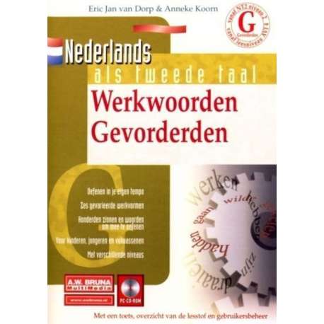 Nederlands Als Tweede Taal-Werkwoorden Gevorderden