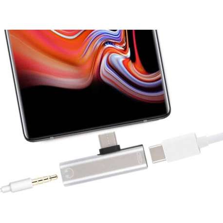 2-in-1 USB-C / Type-C mannetje naar USB-C / Type-C Vrouwelijk 3,5 mm jack-oplaadadapter (zilver)