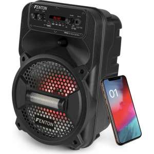 Mobiele accu speaker - Fenton FPC8 50W accu speaker met Bluetooth, mp3 speler, microfoon en LED verlichting