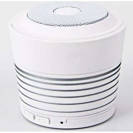 Bluetooth Stereo Speaker with FM Radio _ White