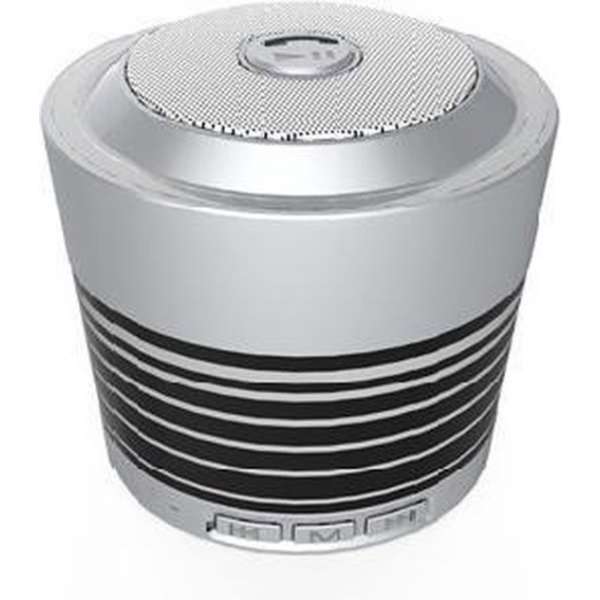 Bluetooth Stereo Speaker with FM Radio _ Silver