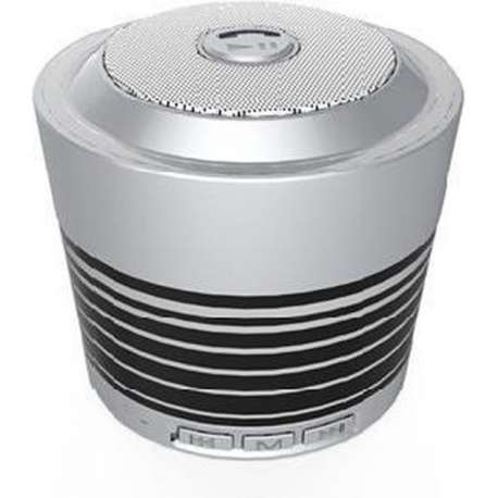 Bluetooth Stereo Speaker with FM Radio _ Silver