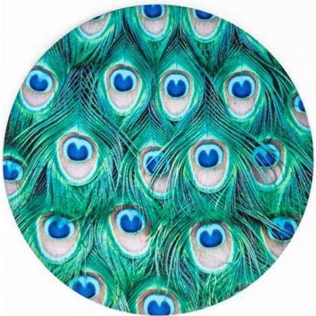 Moodadventures | Muismatten | Muismat Rond Turquoise Pauwenveren | 20x20