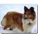 Shetland Sheepdog sneeuw Muismat