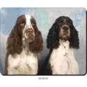 2 Springer Spaniels  Muismat