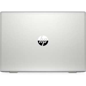 HP ProBook 450 G6/i5-8265U/15i/8GB/256GSSD/W10P64 Rail