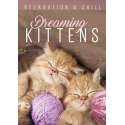 Dreaming Kittens