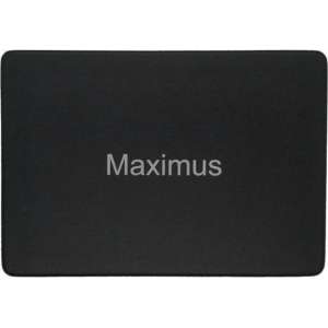 Maximus - Interne SSD - 1TB - MLC