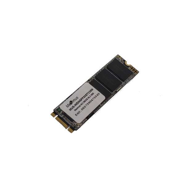 Maximus - Interne SSD M.2 - 256 GB – MLC