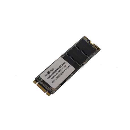 Maximus - Interne SSD M.2 - 256 GB – MLC