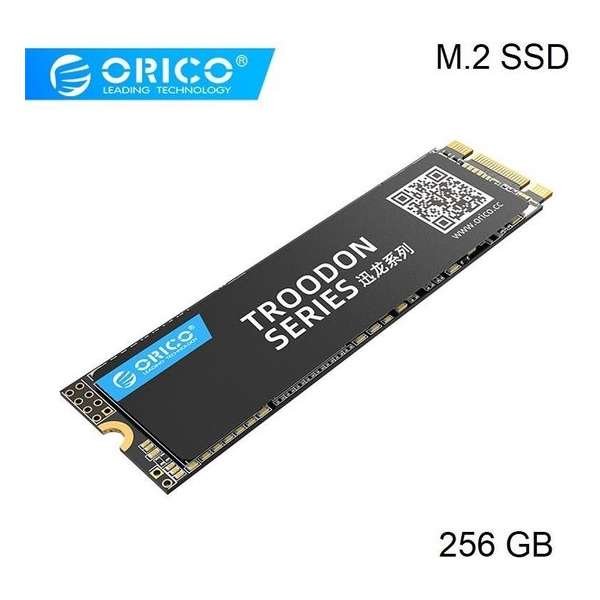 Orico M.2 interne SSD 2280 - 256GB - Troodon serie - 3D NAND flash - Zwart