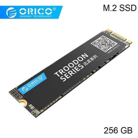 Orico M.2 interne SSD 2280 - 256GB - Troodon serie - 3D NAND flash - Zwart