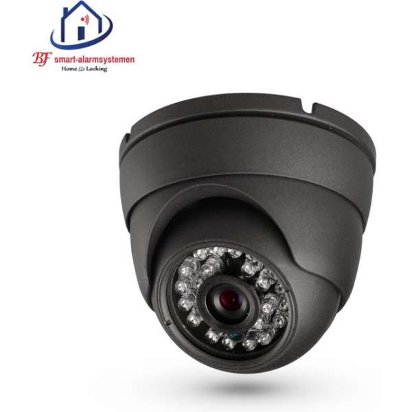 Home-Locking ip-camera dome binnen POE 1080P  2.0MP (zwart) C-503