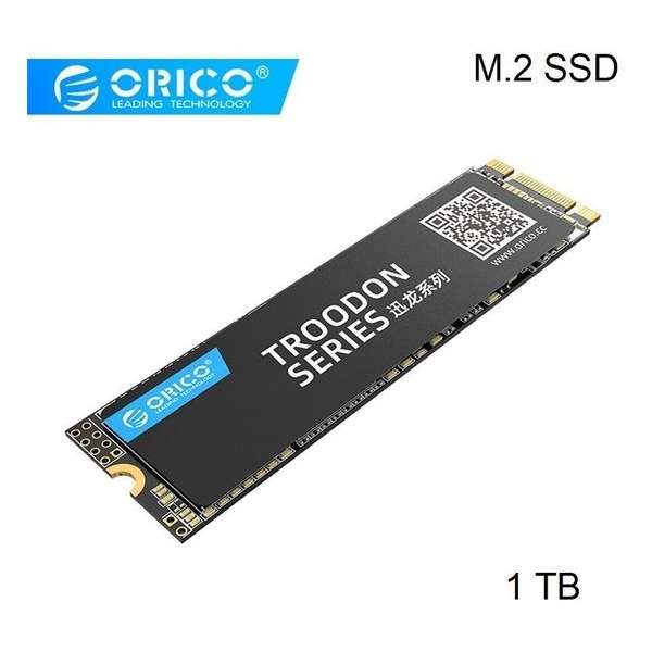 Orico M.2 interne SSD 2280 - 1TB - Troodon serie - 3D NAND flash - Zwart