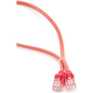 CablExpert PP12-0.25M/R - Netwerkkabel, UTP Cat5E, rood