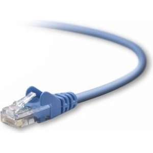 Belkin UTP CAT5e 5 m