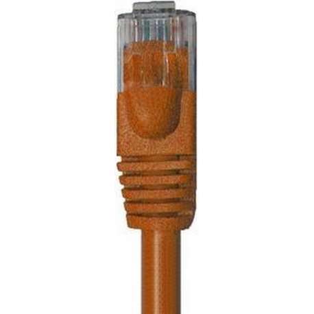 Wentronic CAT6 Netwerkkabel - RJ45 - Bruin - 20 m