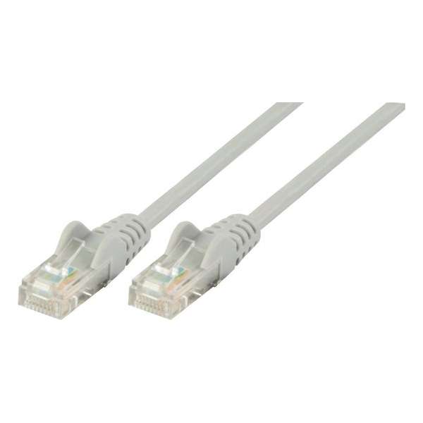 UTP CAT 5e netwerk kabel 30,0 m grijs