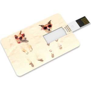 Venditio USB Credit Card - 64 GB 2.0 - Hond - USB Stick