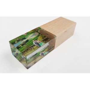 Glas hout usb stick 3D bedrukken met naam of foto 16GB
