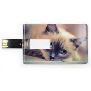 Creditcard USB Stick 16GB. Kat