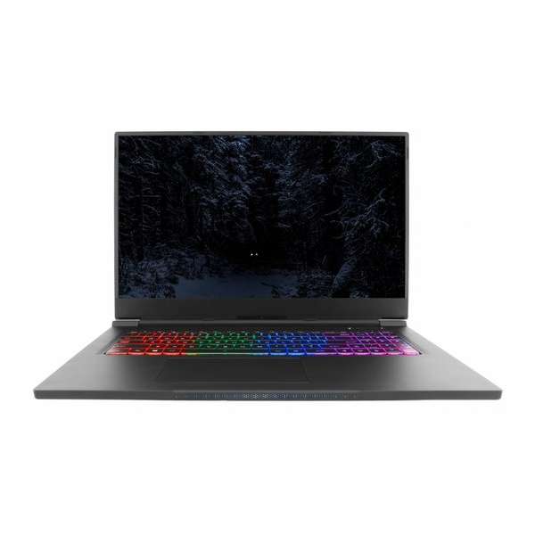 SKIKK LYNX 2 17" gaming laptop