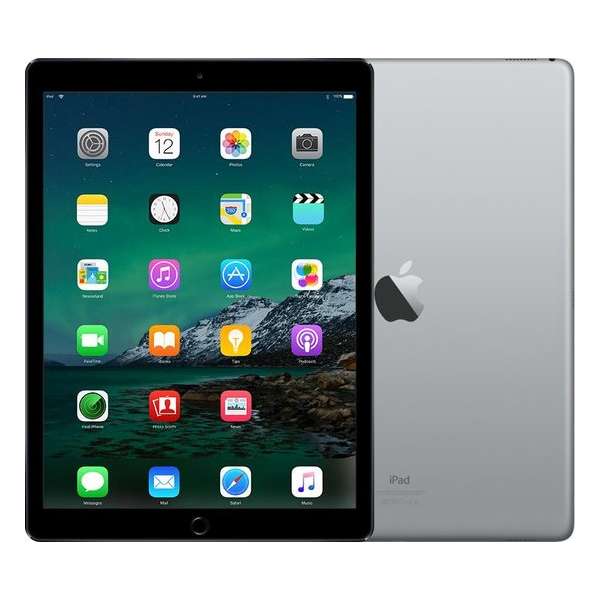 iPad Pro 2 12.9 | 256 GB | Space Gray | Als nieuw | leapp