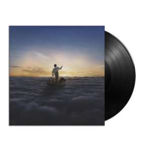 The Endless River (LP)