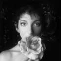 Kate Bush - Remastered In Vinyl 2 (Boxset)