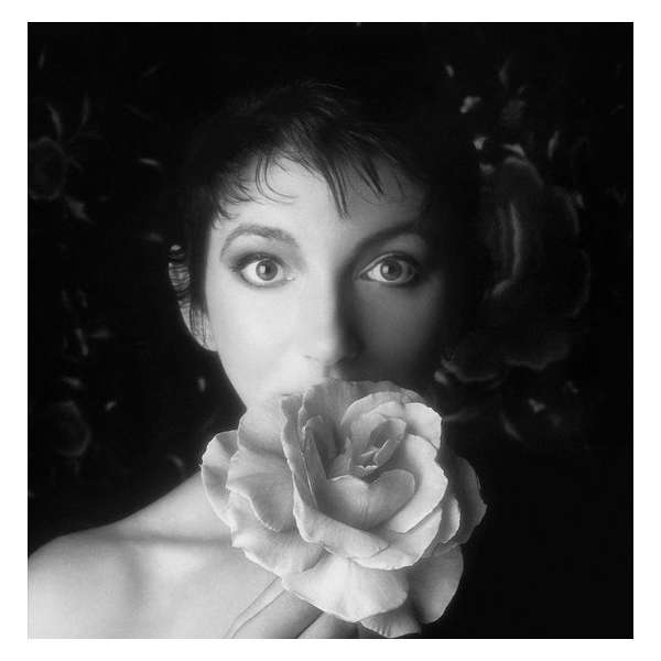 Kate Bush - Remastered In Vinyl 2 (Boxset)