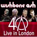 40th Anniversary Concert  - Live In London