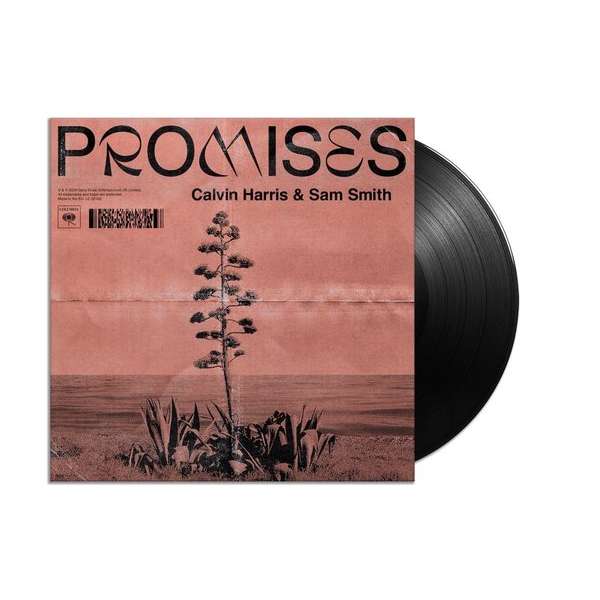 Promises (12 Inch Vinyl) (LP)