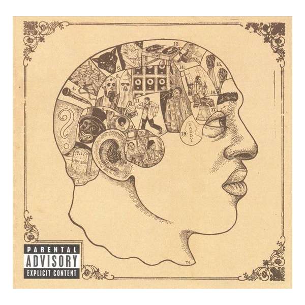 Phrenology (Explicit)