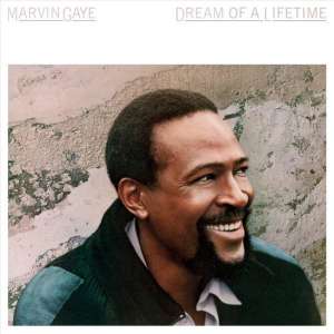 Dream Of A Lifetime -Clrd-