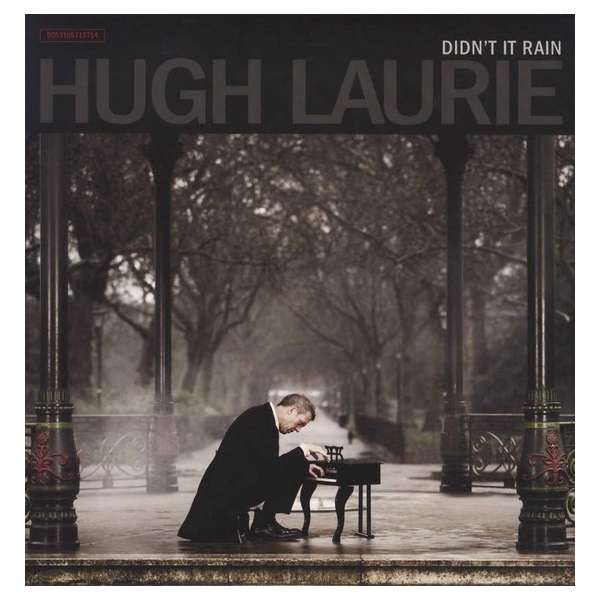 Didn't It Rain (LP)