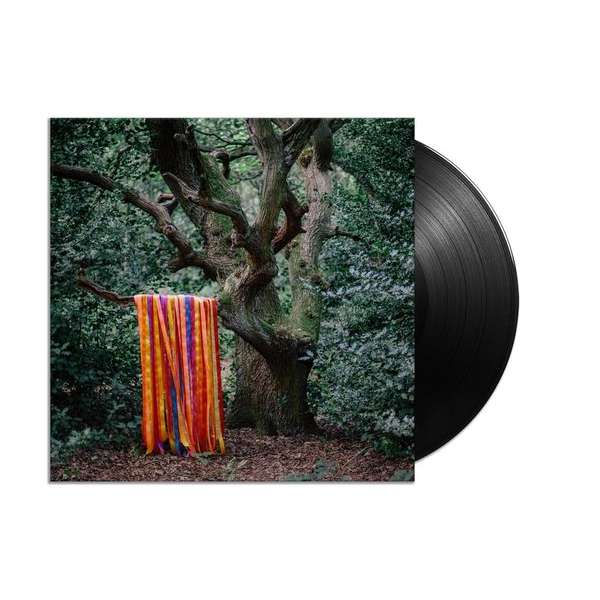 The Animal Spirits 2Lp (LP)