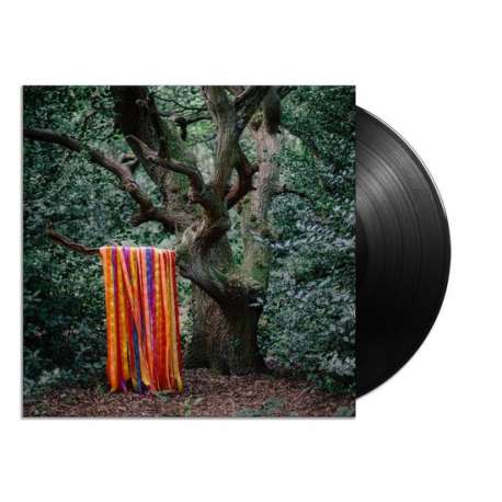 The Animal Spirits 2Lp (LP)