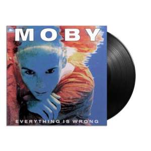 Everything Is Wrong (LP)