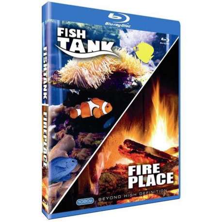 Fish Tank/Fire Place