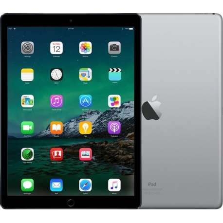 iPad Pro 2 12.9 | 256 GB | Space Gray | Als nieuw | leapp