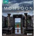 Wonders Of The Monsoon